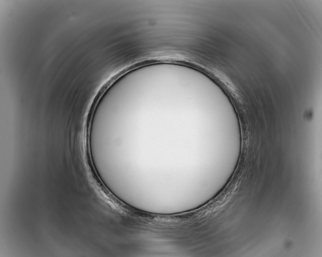 X0000100470840200806130753