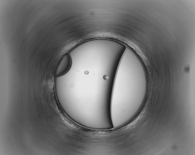 X0000100470841200806130753