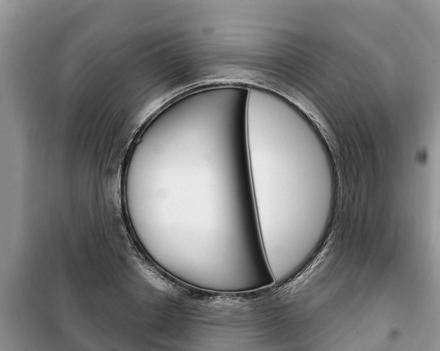X0000100470842200806130753