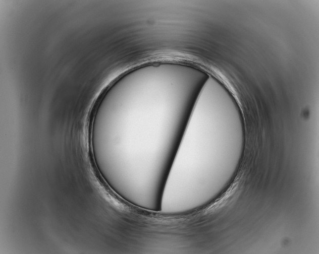 X0000100470843200806130753