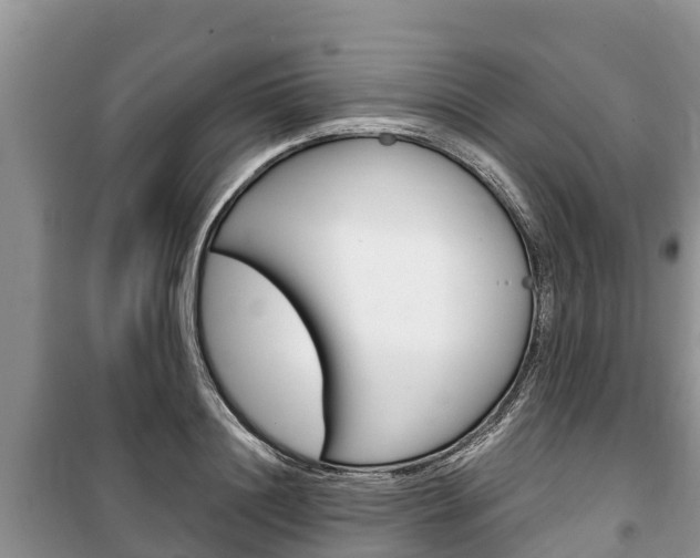 X0000100470844200806130753