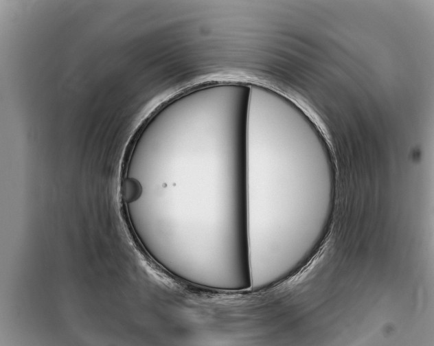 X0000100470845200806130753