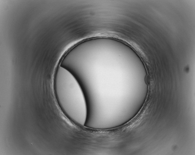 X0000100470846200806130753