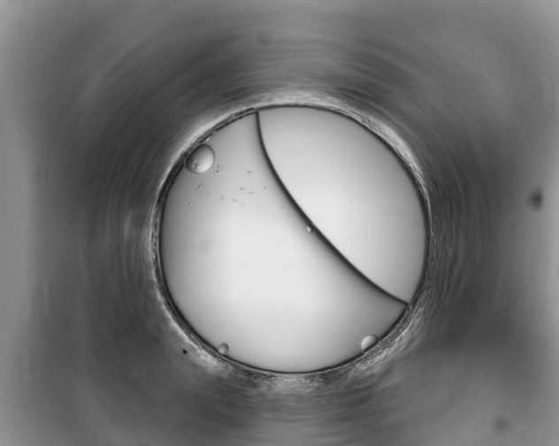 X0000100470847200806130753