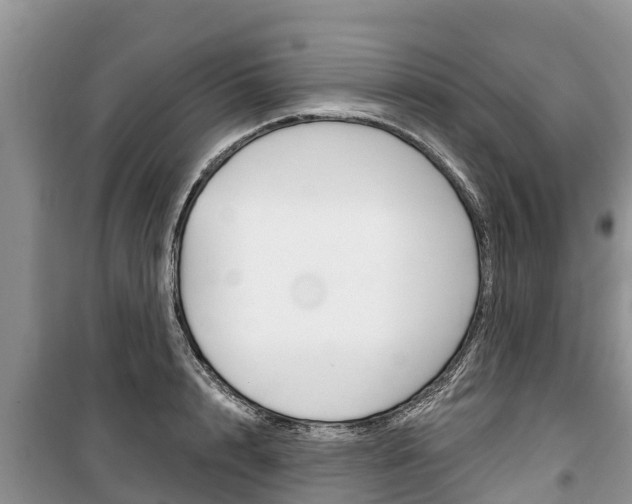 X0000100470848200806130753