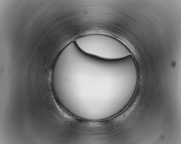 X0000100470849200806130753