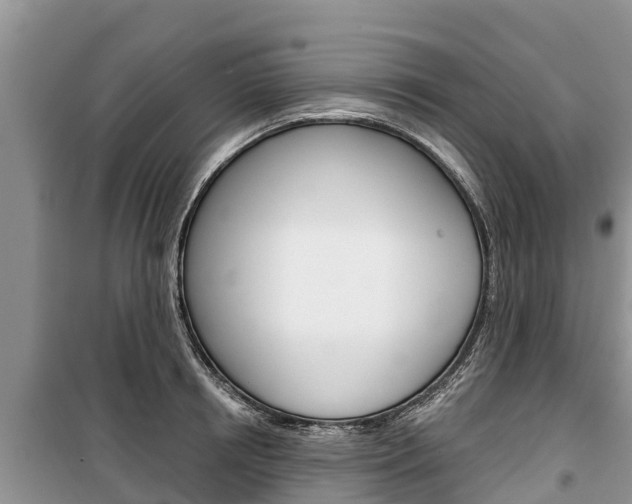 X0000100470850200806130753