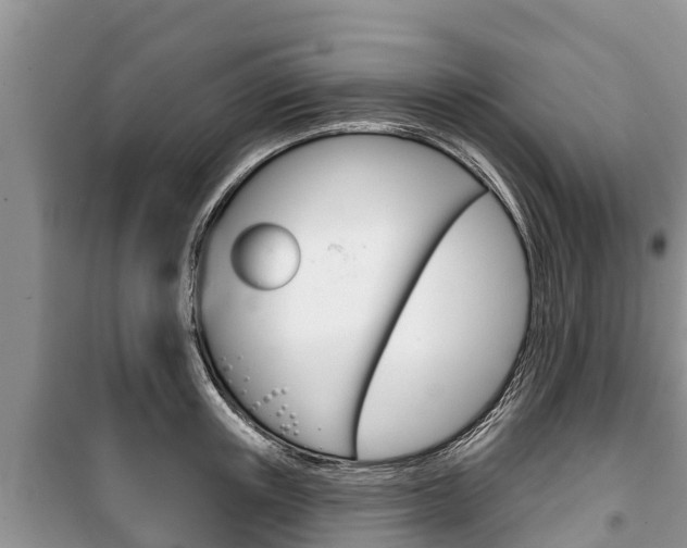 X0000100470851200806130753