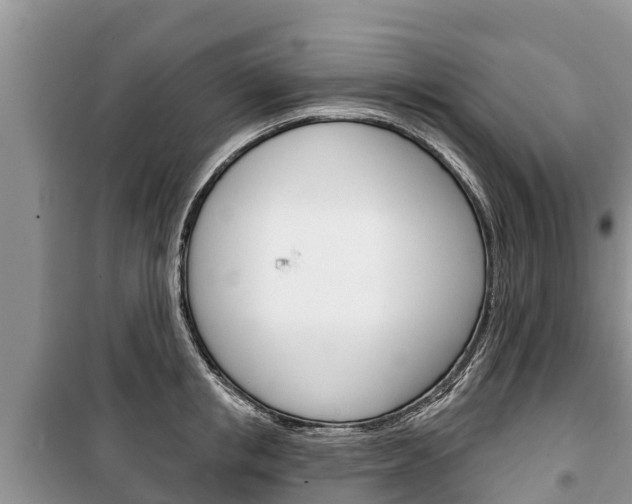 X0000100470853200806130753