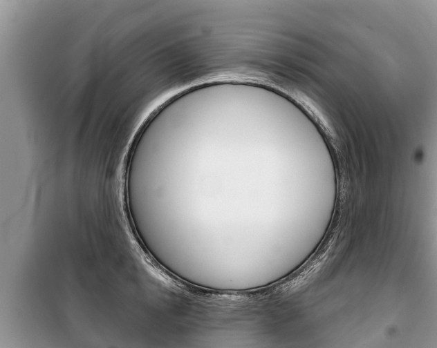 X0000100470854200806130753
