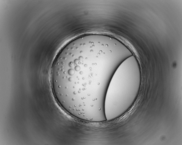 X0000100470855200806130753