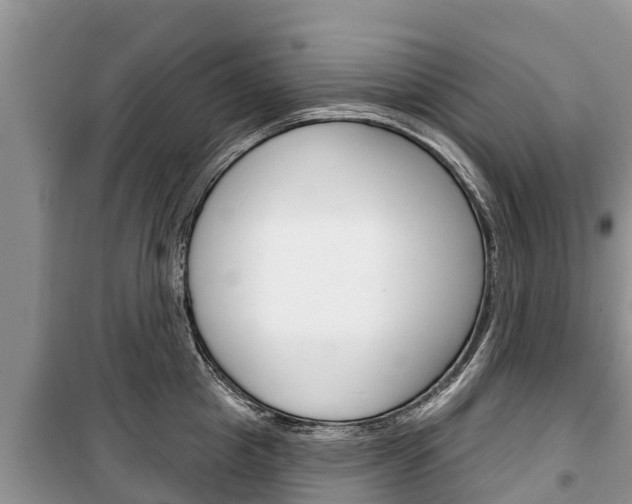 X0000100470857200806130753