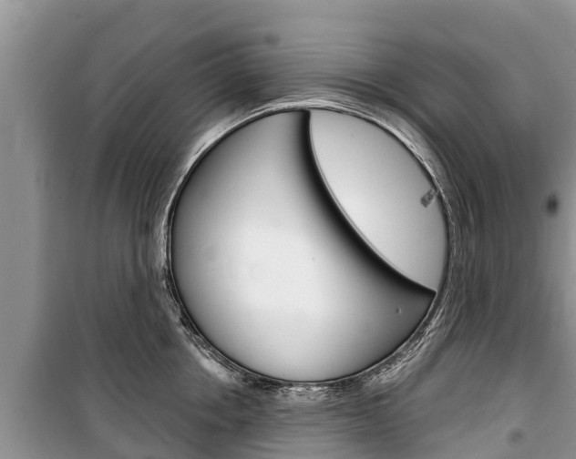 X0000100470858200806130753