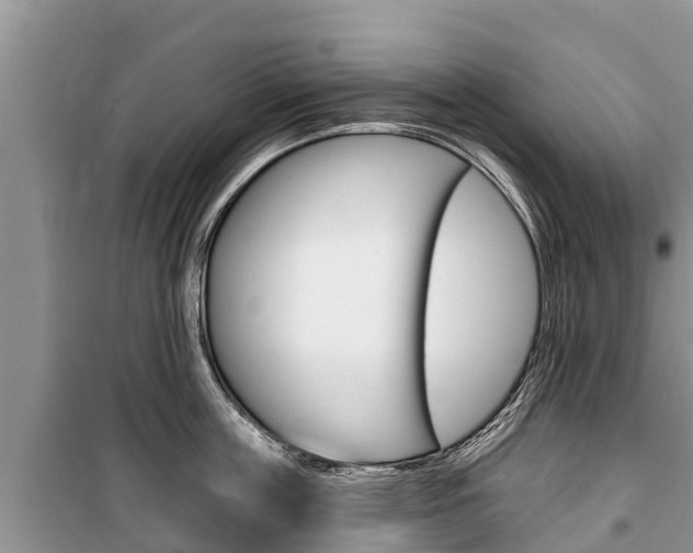 X0000100470859200806130753