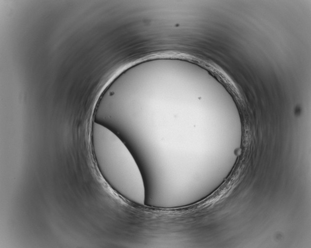 X0000100470860200806130753