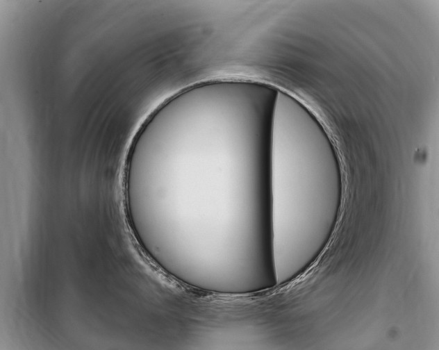 X0000100470864200806130753