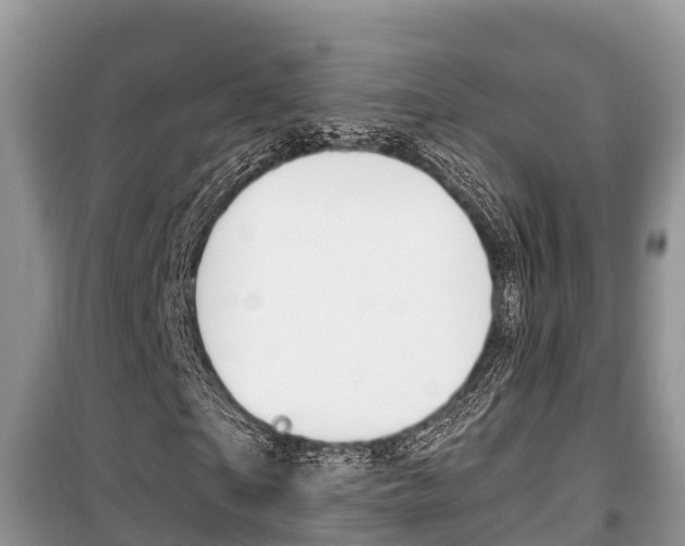 X0000100470865200806130752