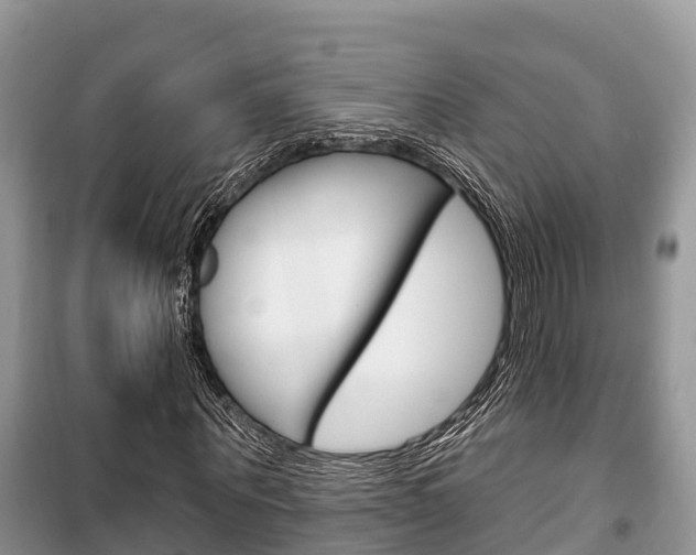 X0000100470867200806130752