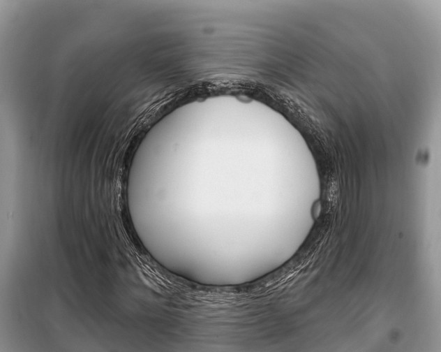X0000100470868200806130752
