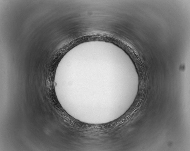 X0000100470869200806130752