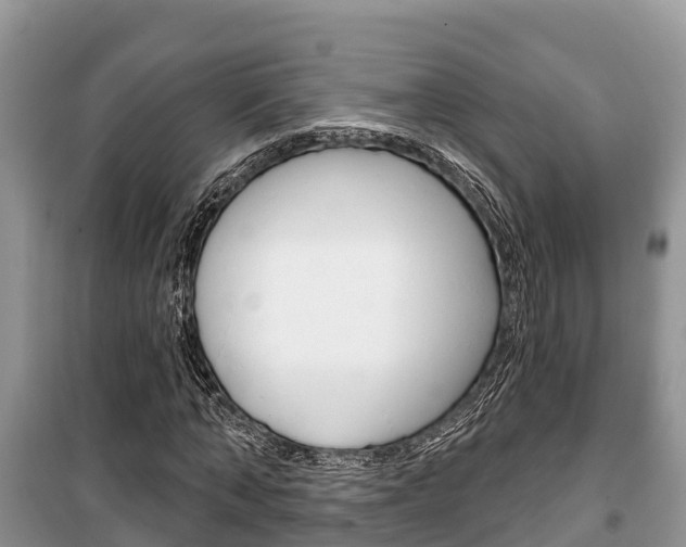 X0000100470870200806130752