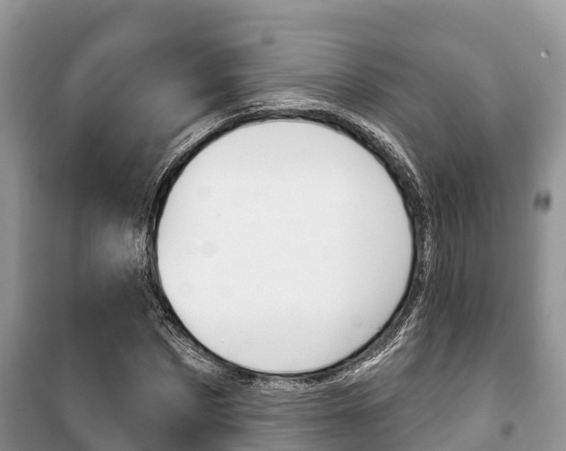 X0000100470873200806130752