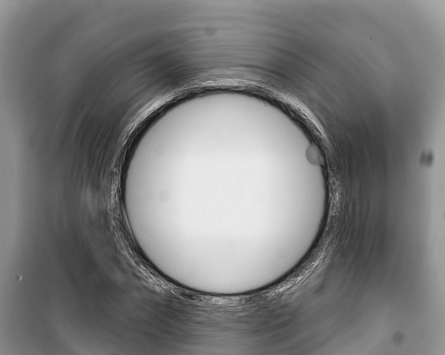 X0000100470874200806130752