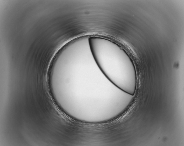 X0000100470876200806130752