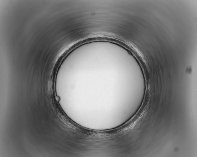 X0000100470877200806130752