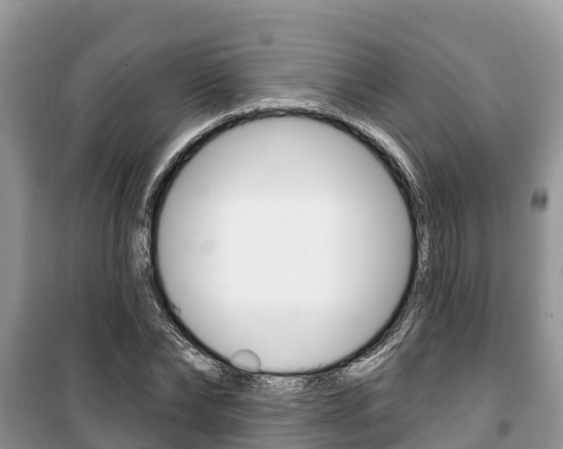 X0000100470878200806130752