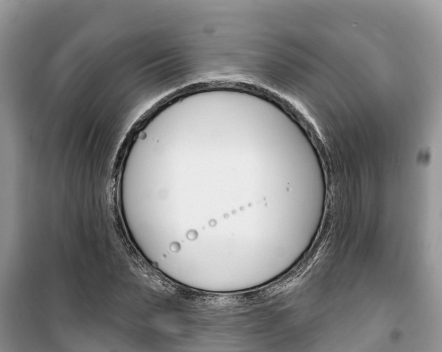 X0000100470879200806130752