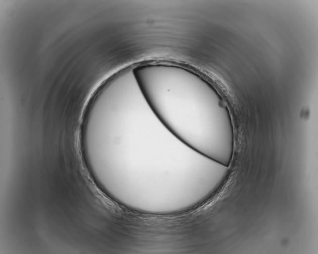 X0000100470880200806130752