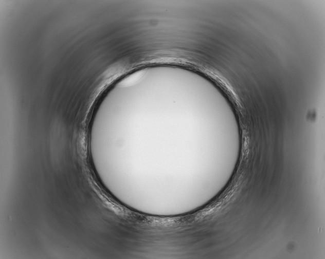 X0000100470882200806130752