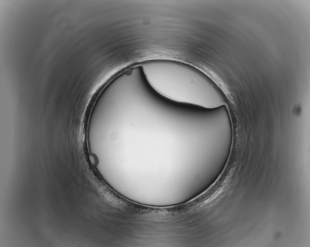 X0000100470885200806130752