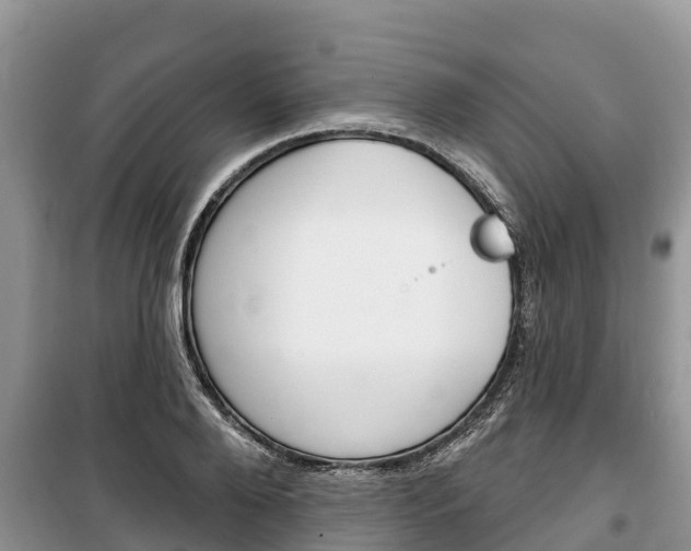 X0000100470888200806130752