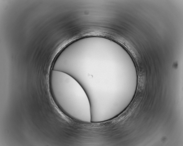 X0000100470890200806130752