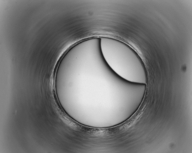X0000100470891200806130752
