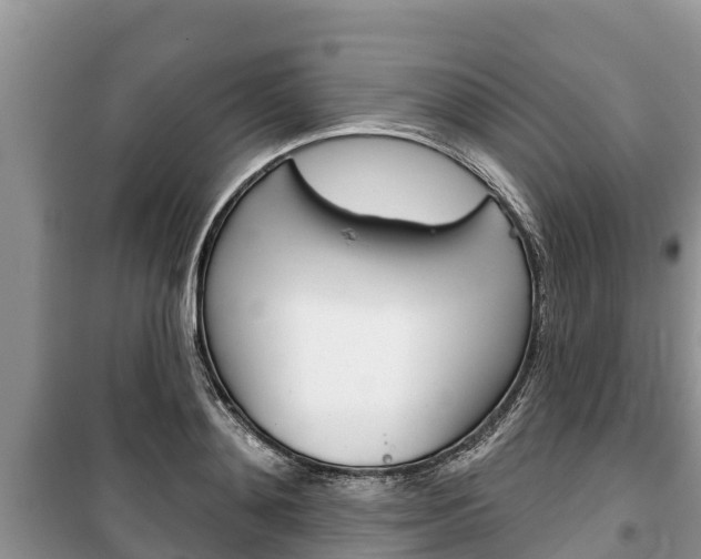 X0000100470892200806130752