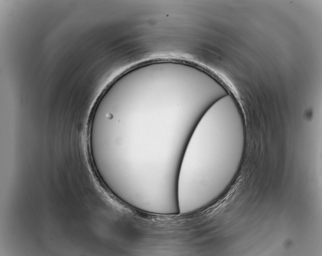 X0000100470895200806130752