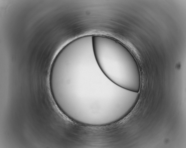 X0000100470896200806130752