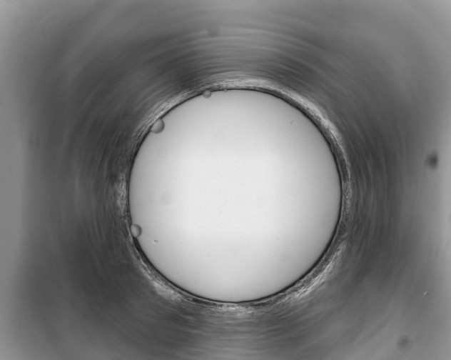 X0000100470897200806130752