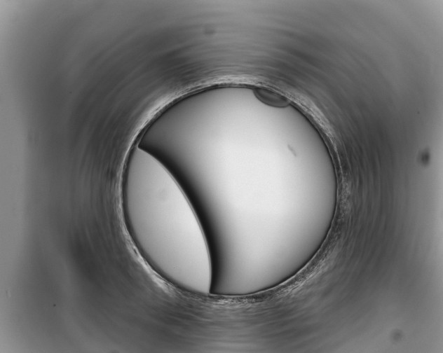 X0000100470898200806130752