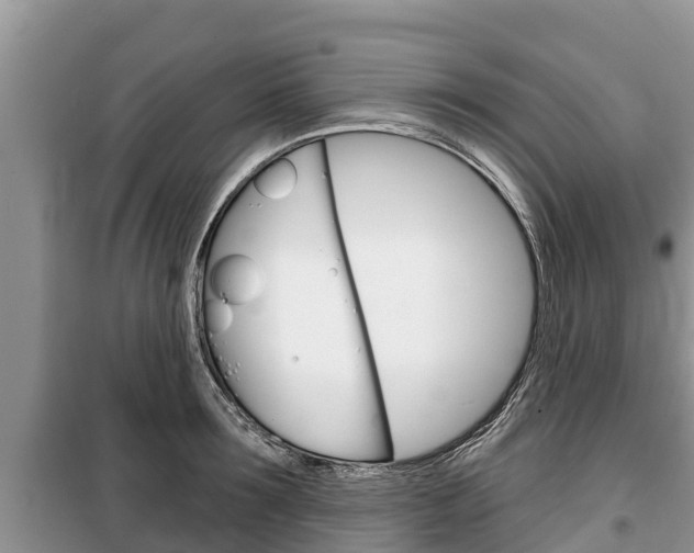 X0000100470899200806130752