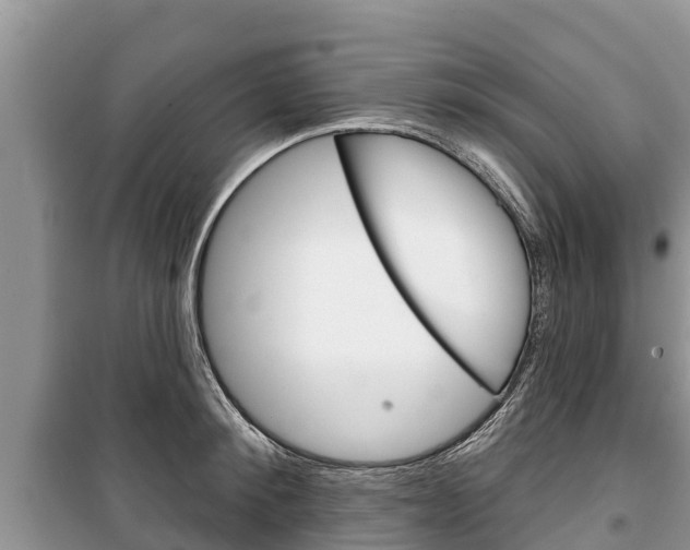 X0000100470900200806130752