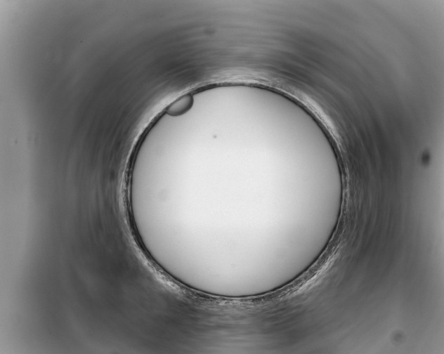 X0000100470901200806130752