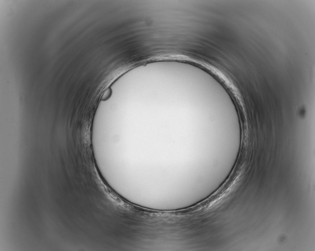 X0000100470905200806130752