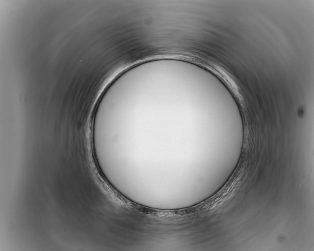 X0000100470907200806130752