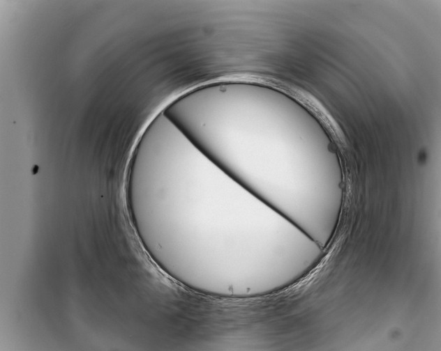 X0000100470908200806130752