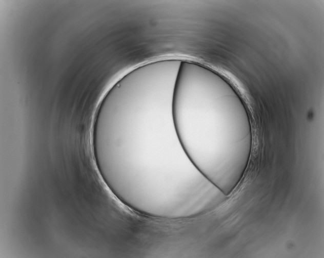 X0000100470910200806130752
