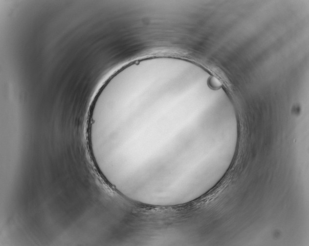 X0000100470912200806130752